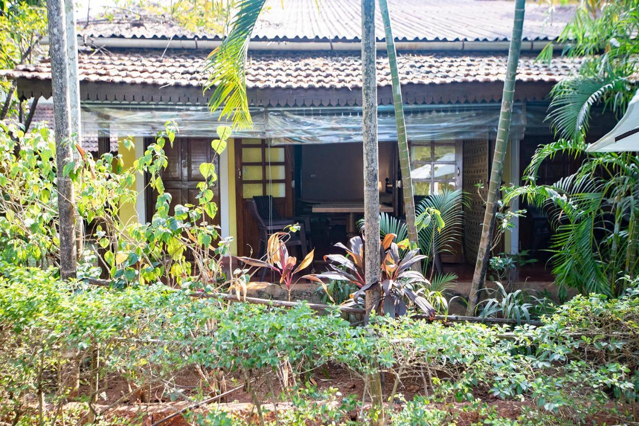 Presa Di Goa - Smith And Appy Managed Calangute Exterior foto